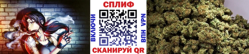 как найти наркотики  Ужур  Конопля конопля 